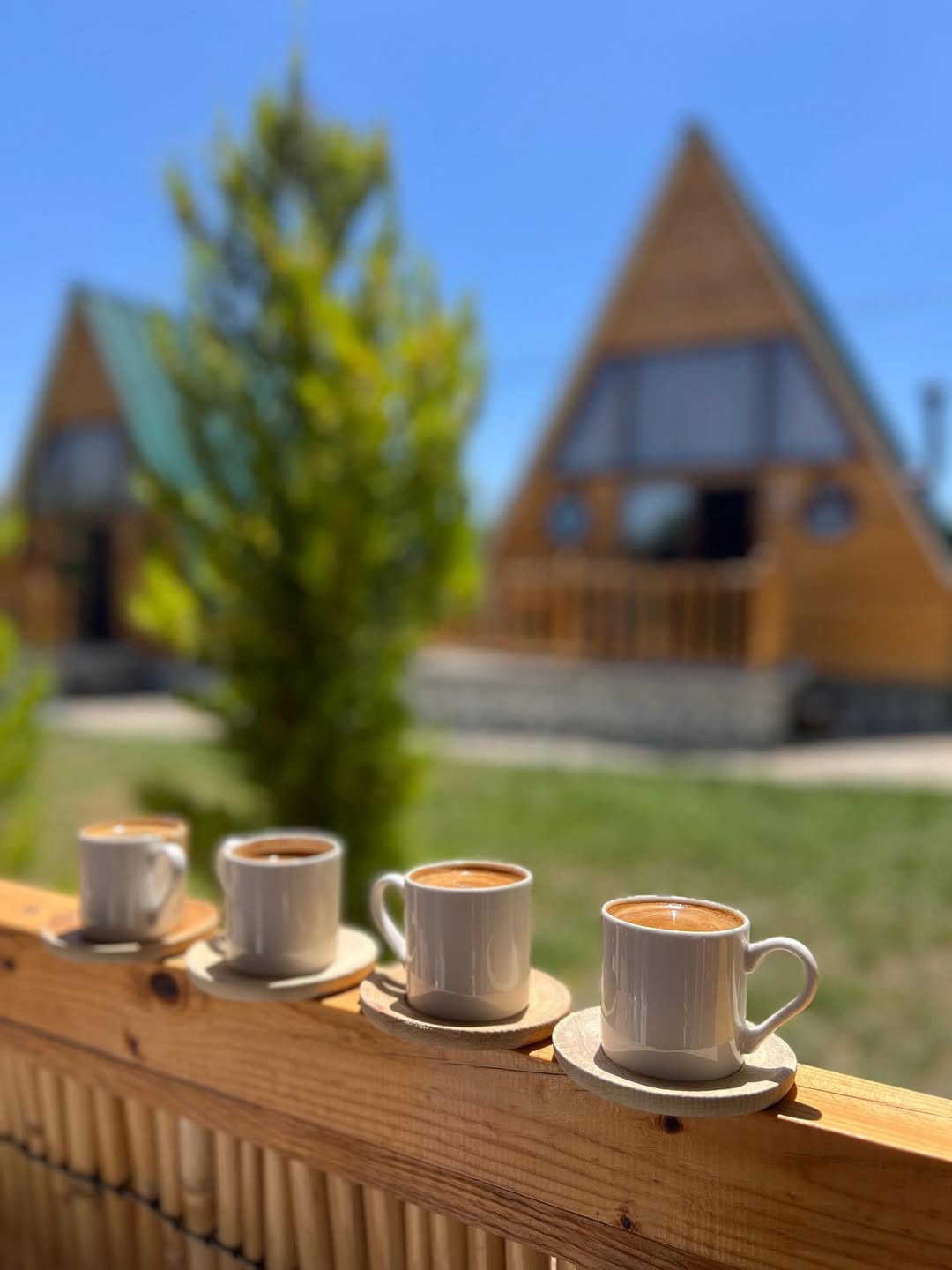Bungalov