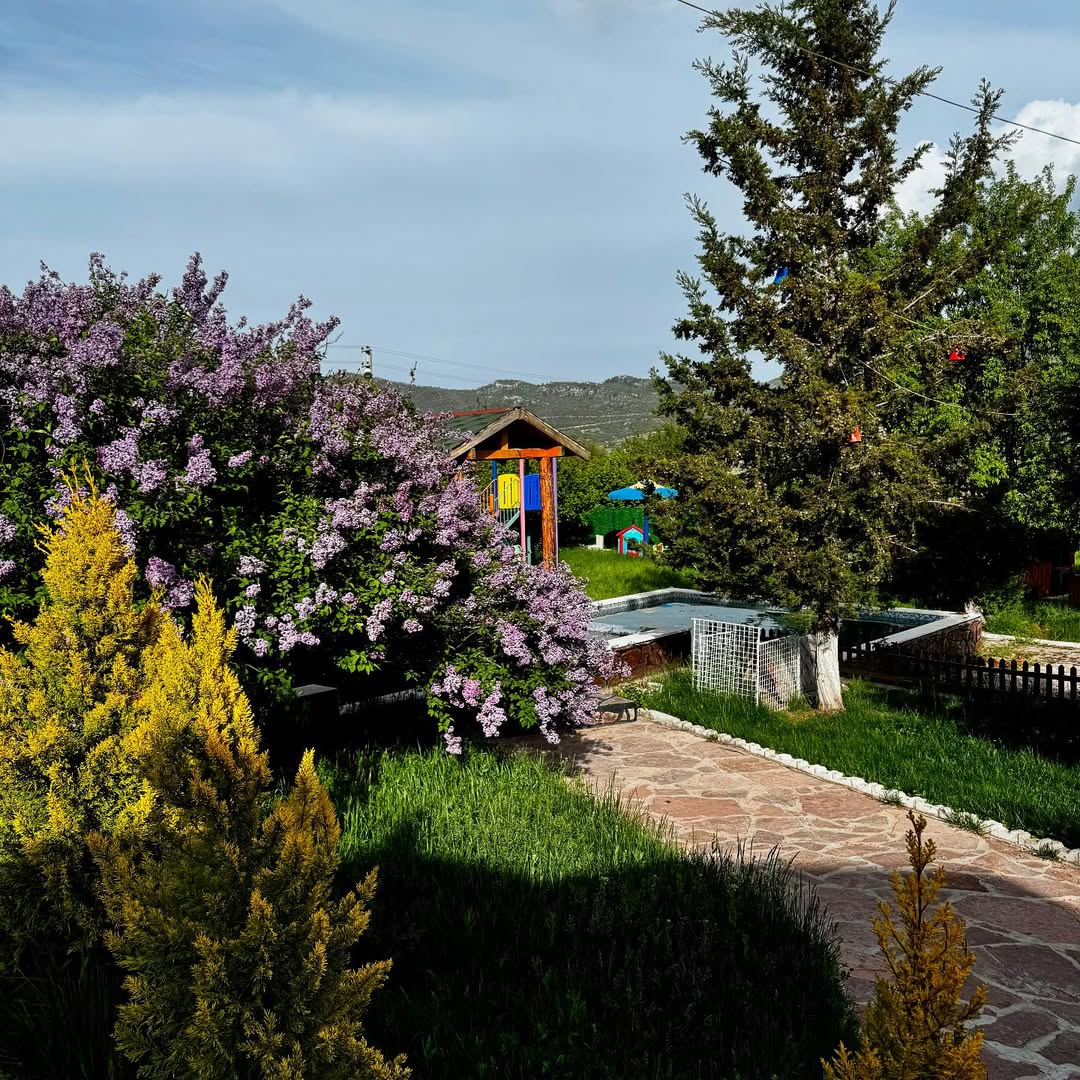 Etkinlik ve Piknik Alanı